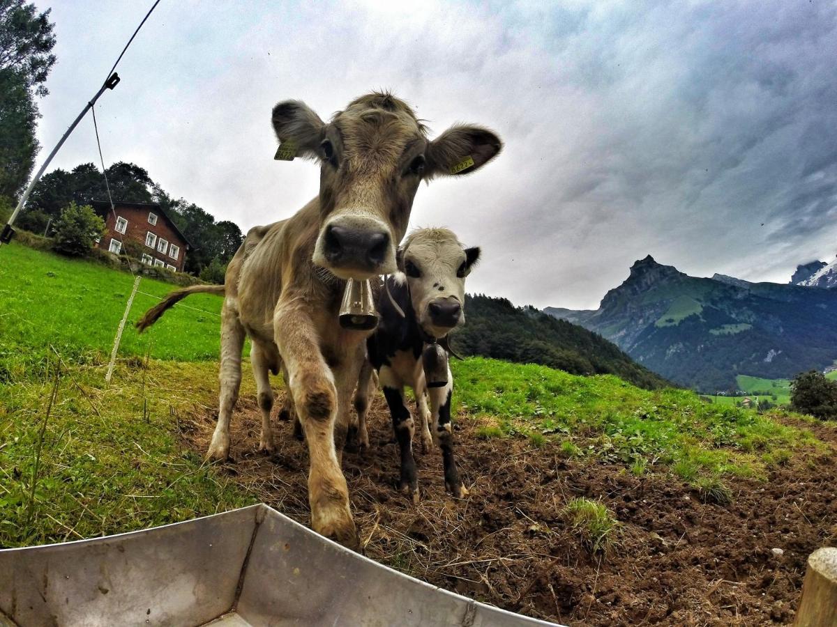 Hostel Engelberg "Mein Trail Hostel" Dış mekan fotoğraf