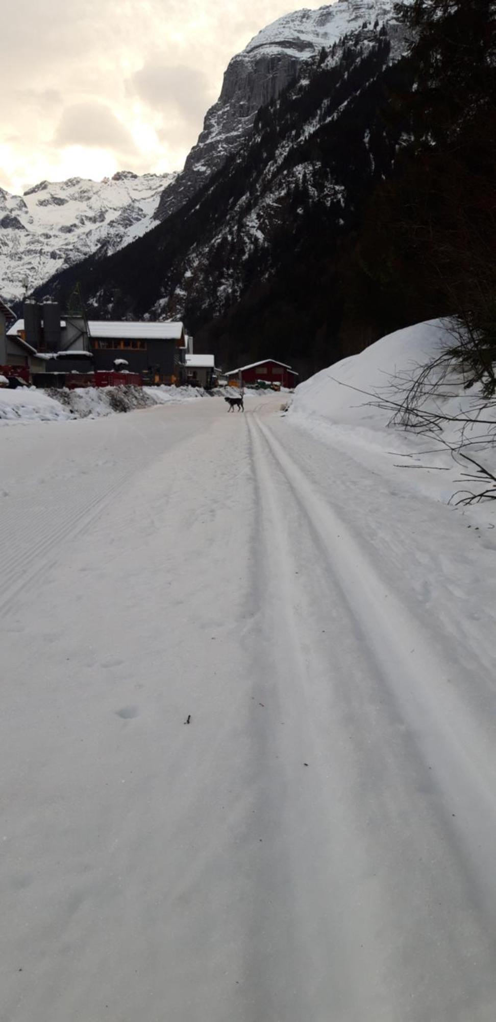 Hostel Engelberg "Mein Trail Hostel" Dış mekan fotoğraf
